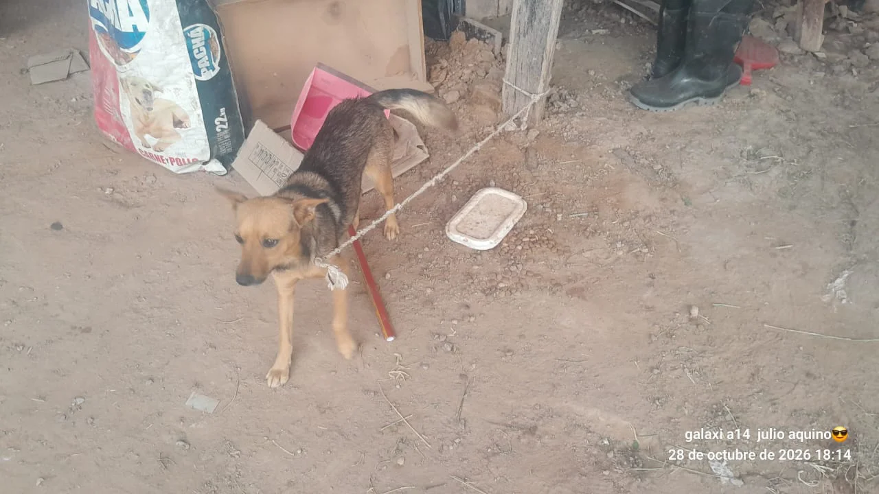 Evacuados-Antequeras-26-10-29-15