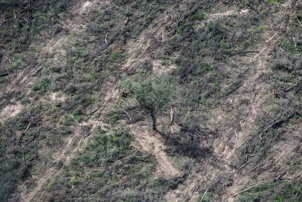 Greenpeace-Desmontes-24-05-30-03