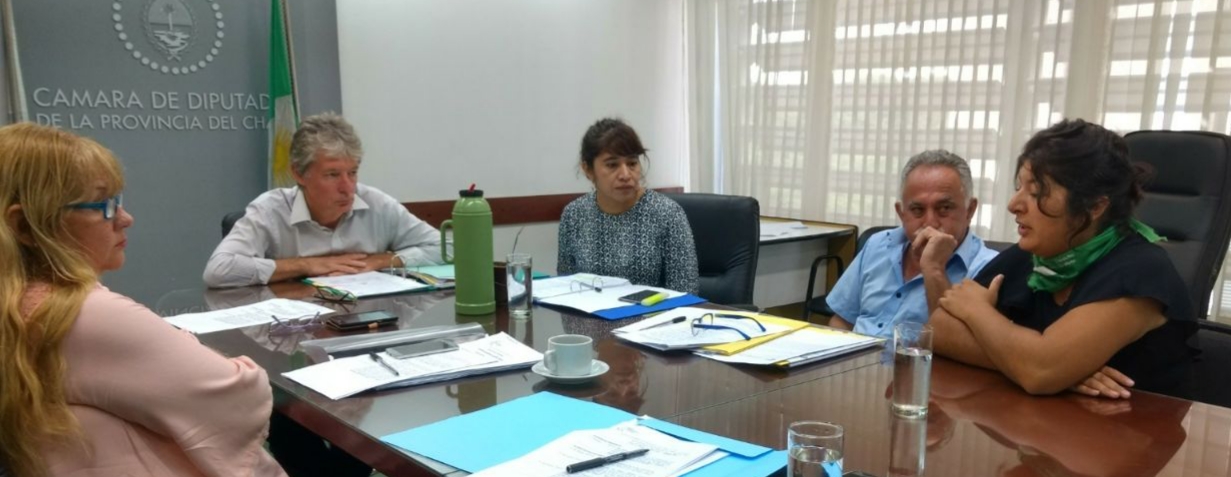 Comision-de-Desarrollo-Humano-y-Salud-Plenario-de-Trabajadoras-18-05-08-01