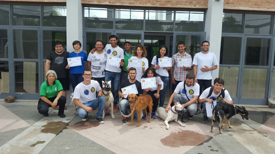 Adiestramiento-canino-Escuela-Yamaguchi-06