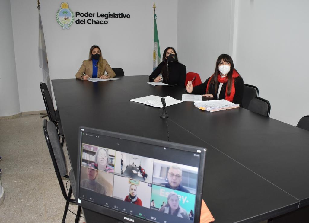 Comisión-de -Género-Diversidad- Familia-y- NNyA-21-06-18-01