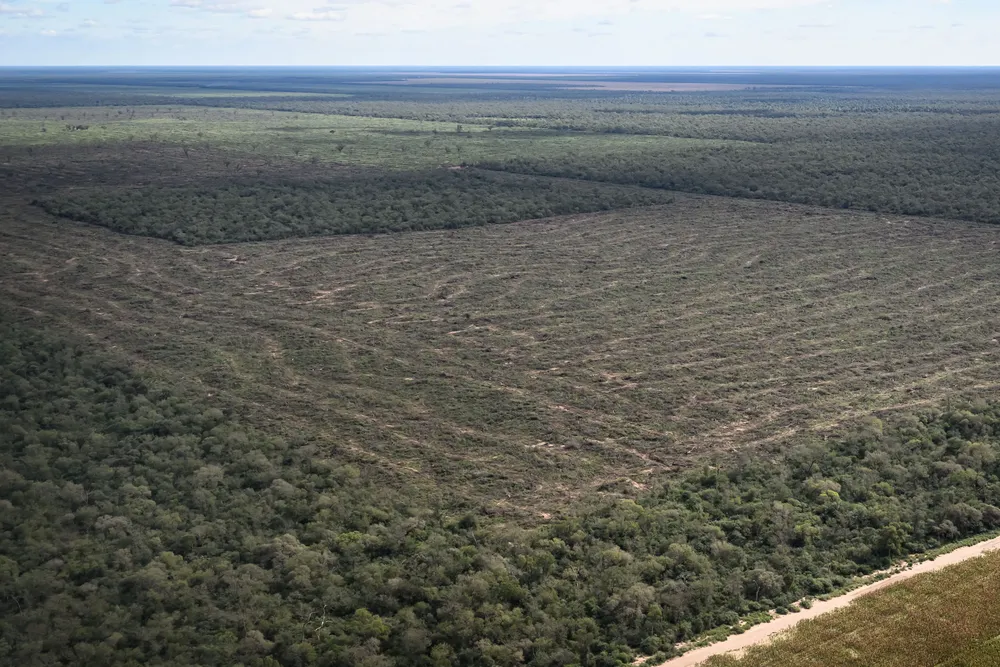 Greenpeace-Desmontes-24-05-30-04