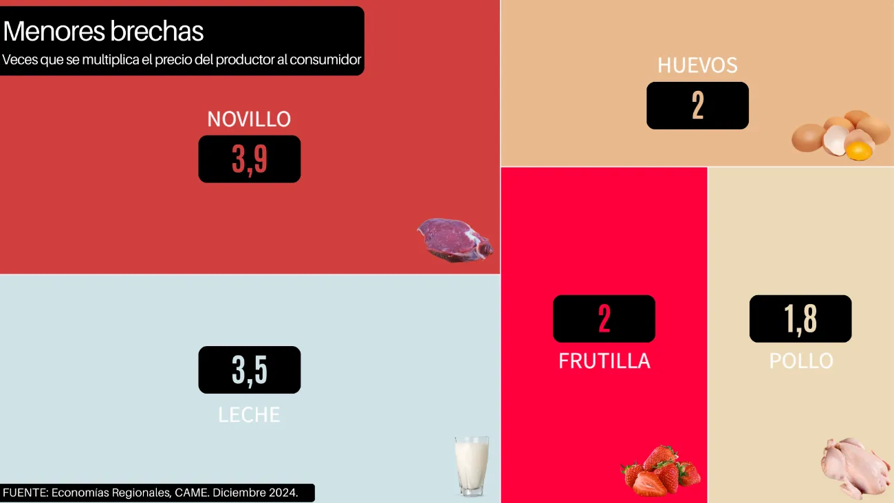 CAME-IPOD-Menores brechas-Diciembre-22-a-Diciembre-24 25-01-13-01