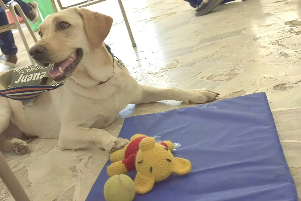 Acompanamiento-a-ninios-con-discapacidad-24-03-20-03