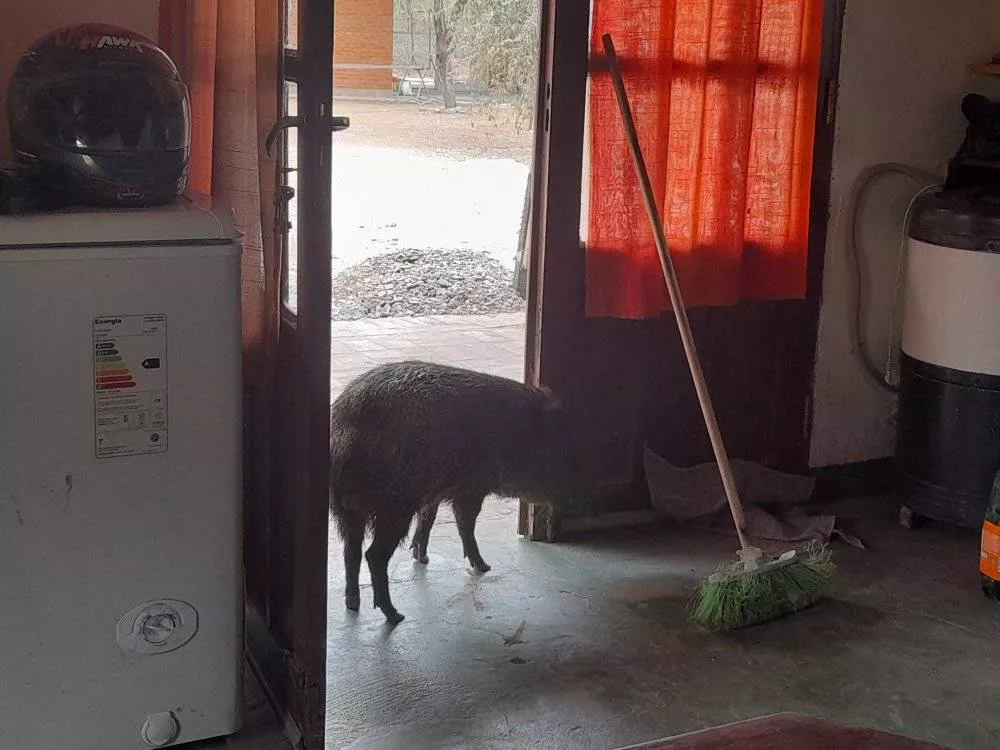 Parque-Natural-Loro-Hablador-22-05-20-16