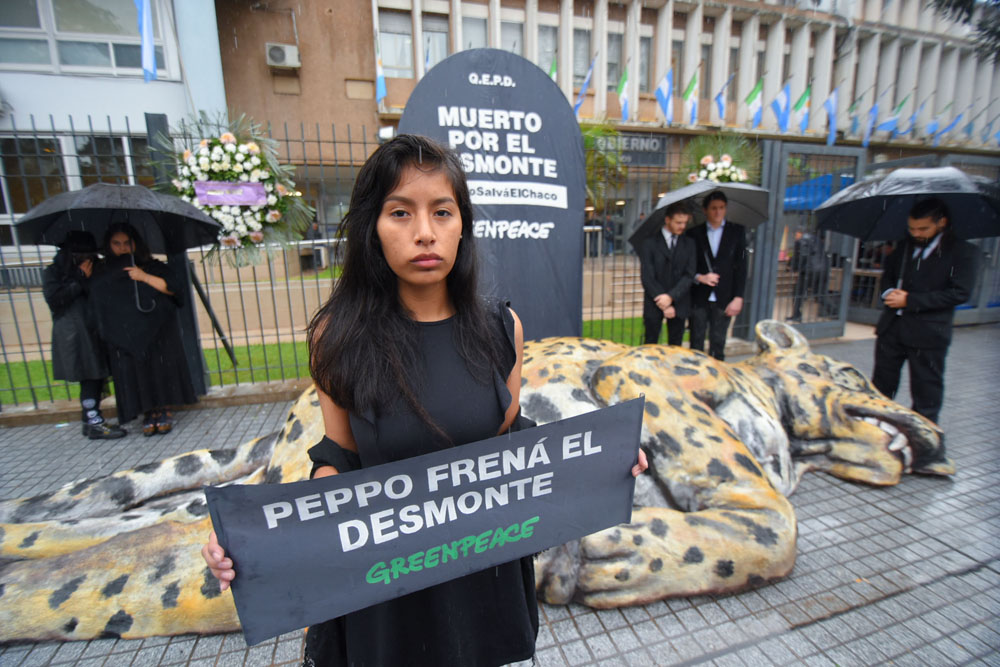 Greenpeace-Velorio-del-Yaguarete-19-05-23-04