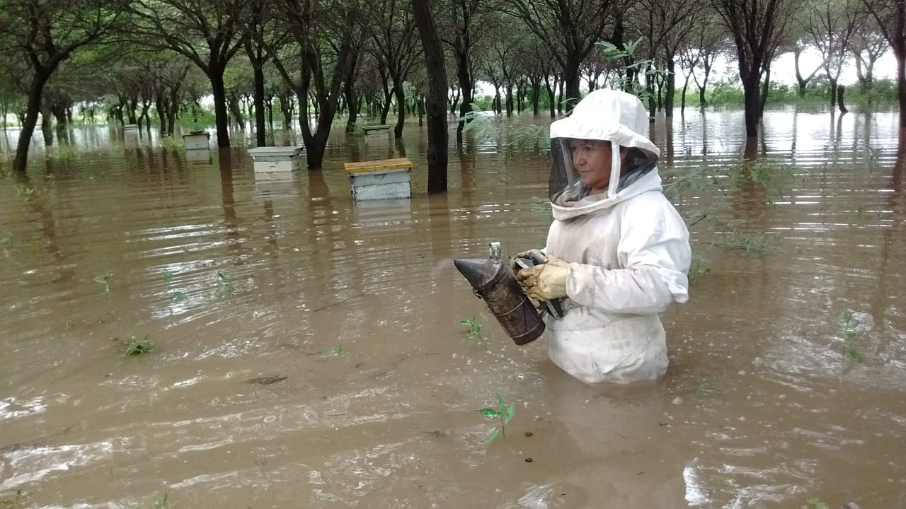 Inundaciones-19-04-24-01