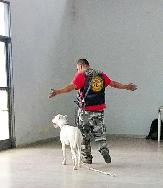 Adiestramiento-canino-Escuela-Yamaguchi-03