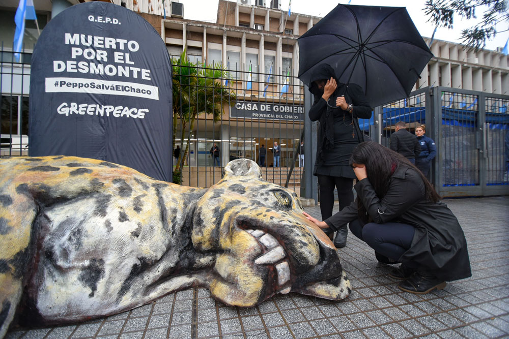 Greenpeace-Velorio-del-Yaguarete-19-05-23-06