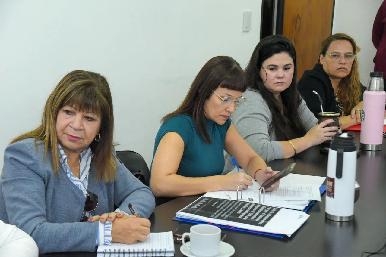 Comision-de-Generos-Diversidades-Familias-y-NNyA-24-06-06-02