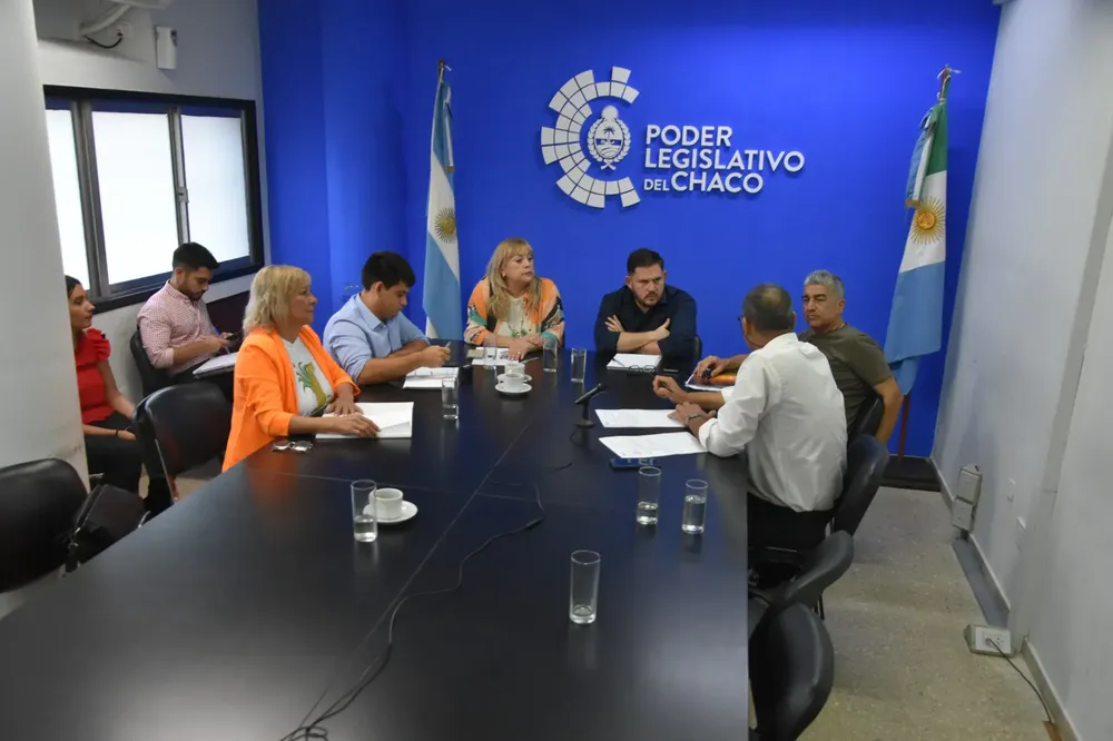 Comisiones-legislativas-24-03-15-05