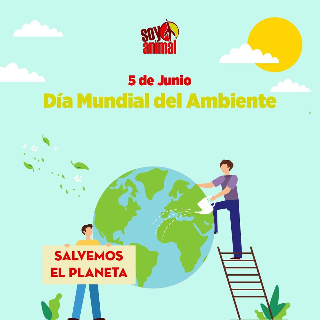 Soy-Animal-Dia-del-Ambiente-20-06-05-02