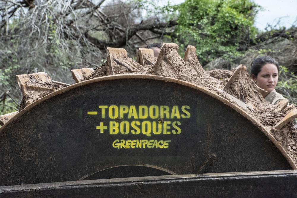 Greenpeace-desmonte-Castelli-19-01-16-06