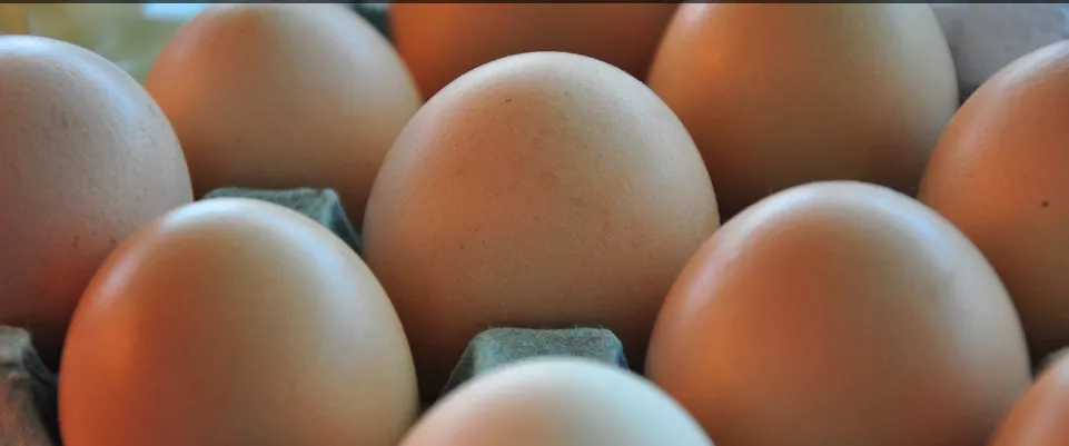 Huevos-22-10-13-01