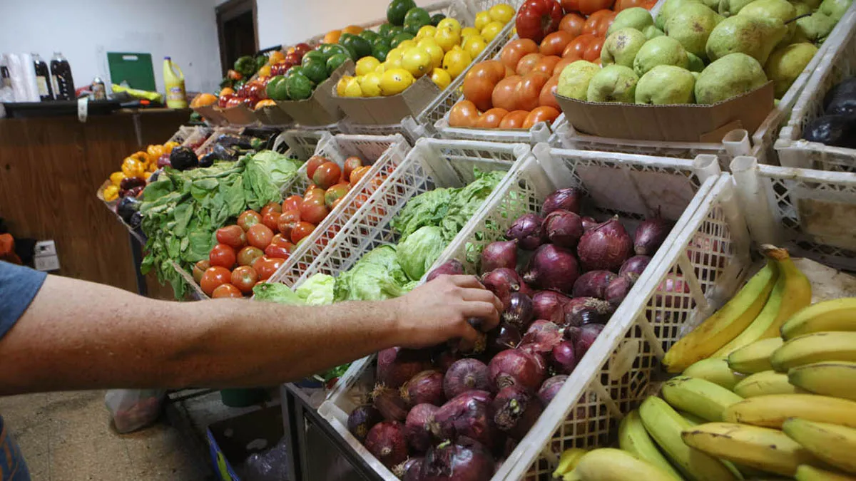 agroalimentos-24-07-15-01