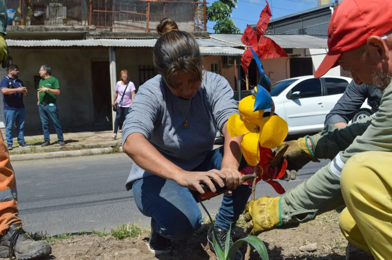 Reconversion-de-minibasurales-24-01-31-03