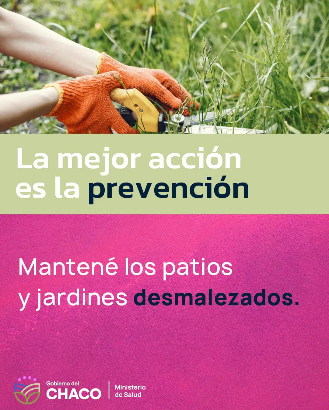 Prevencion-de-Dengue-26-02-04-02