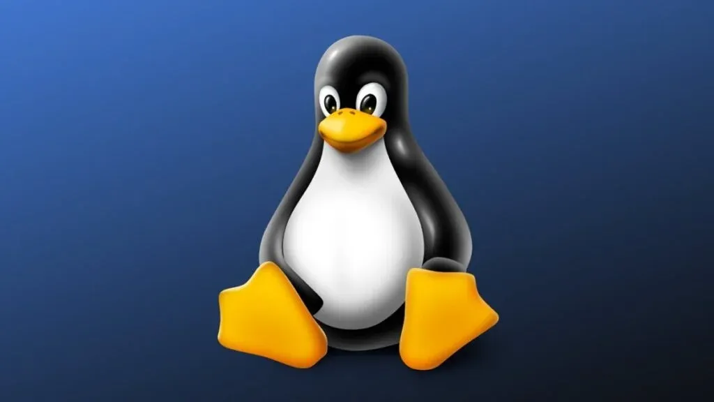 Linux-24-01-31-01