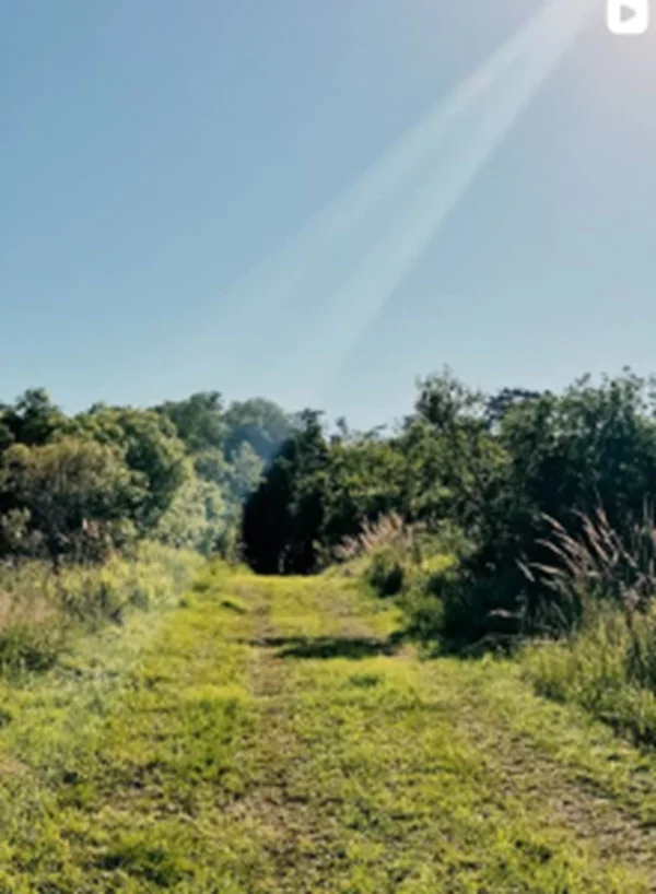 Caraguata-26-03-09-01