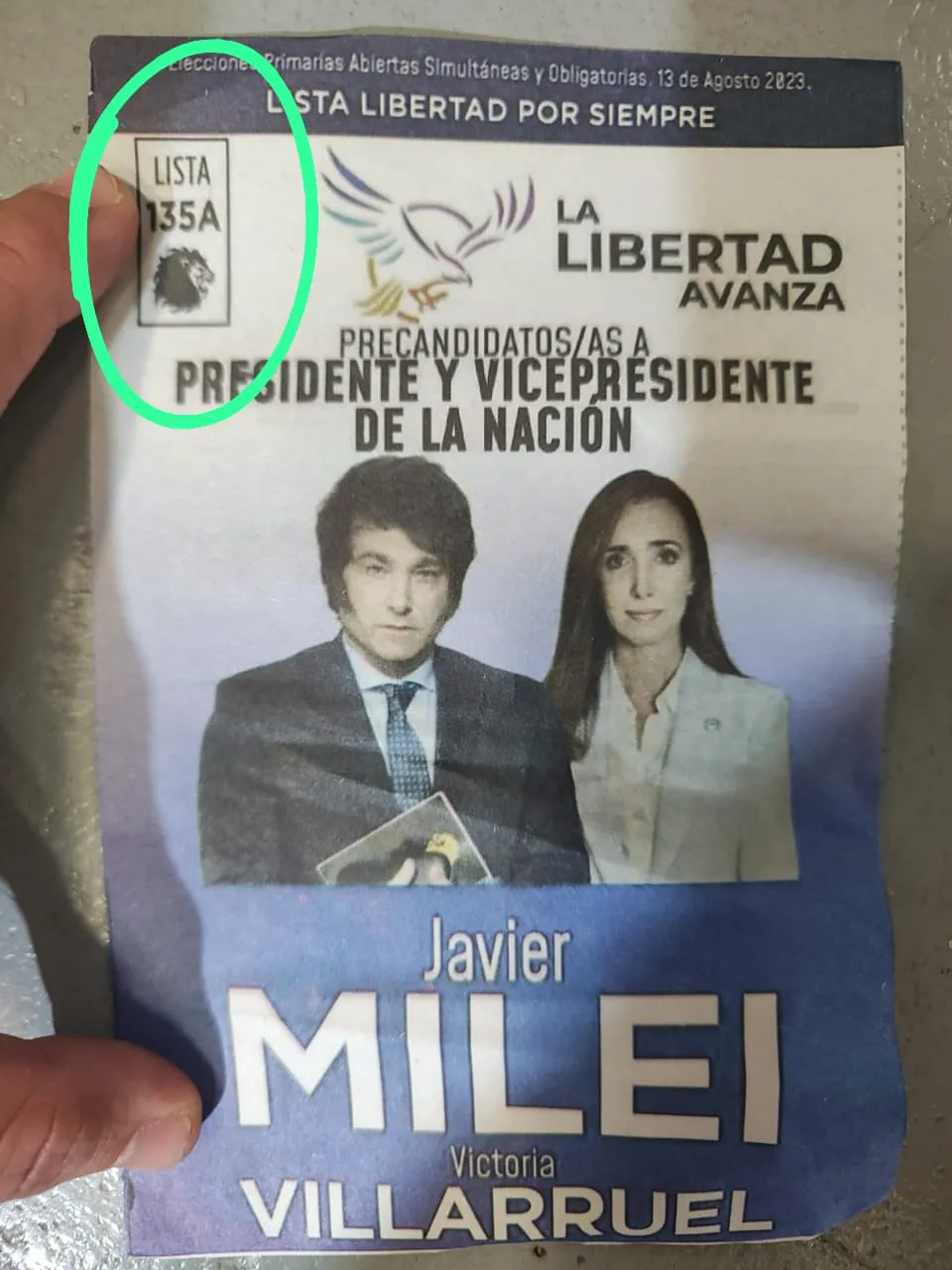 Boletas-Milei-denuncias-Falsa-23-11-19-01