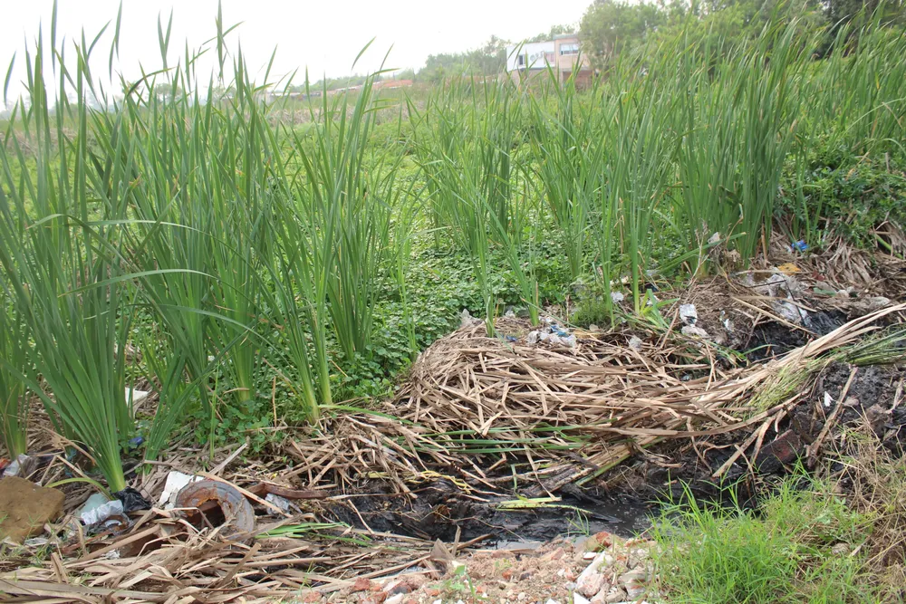 Laguna-Villa-Los-Lirios-24-09-23-03