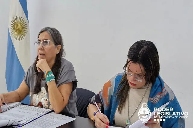 Comision-de-Genero-diversidad-familias-y-NNyA-25-04-09-01