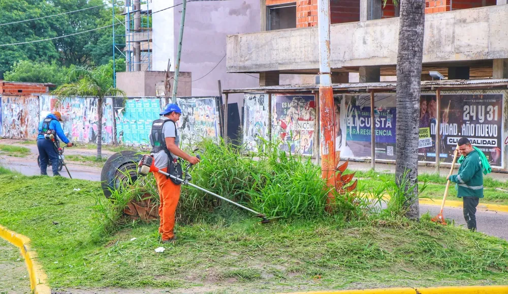 Recoleccion-de-residuos-23-12-18-03