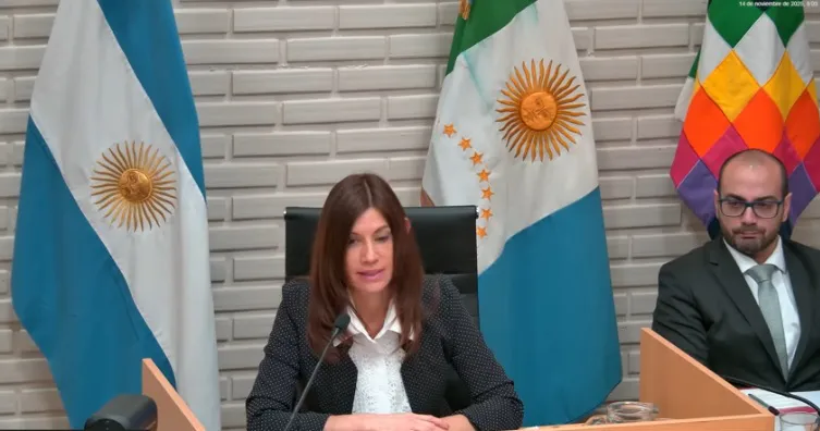 Caso-Cecilia-Instrucciones-Finales-25-11-14-01