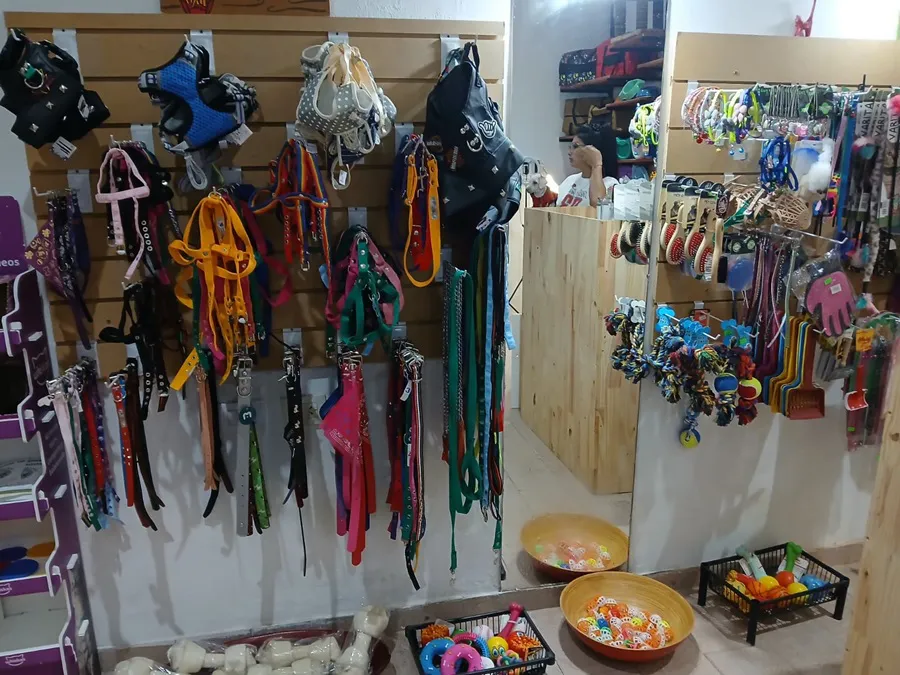 Perri-Julia-25-08-08-08