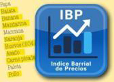 IBP-01