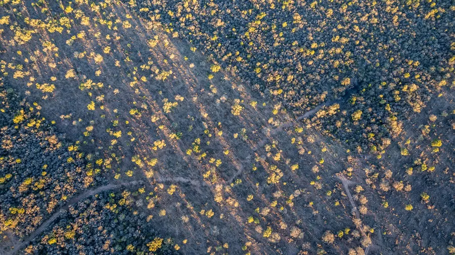 Desmontes-Chaco-19- ©- Martin Katz-Greenpeace-25-08-26-10