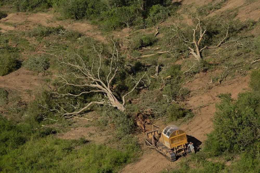 Greenpeace-PN-Copo-19-02-22-01