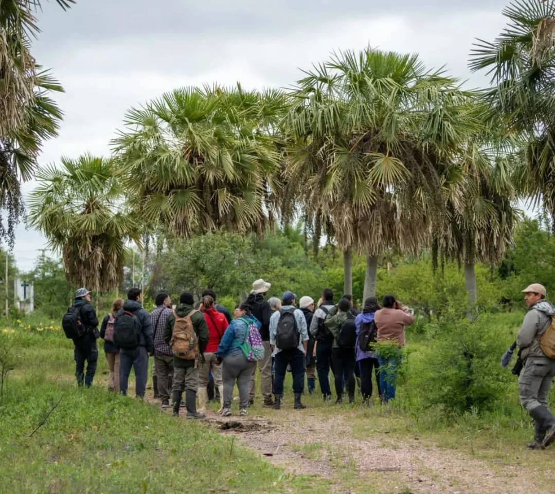 Caraguata-26-03-09-02