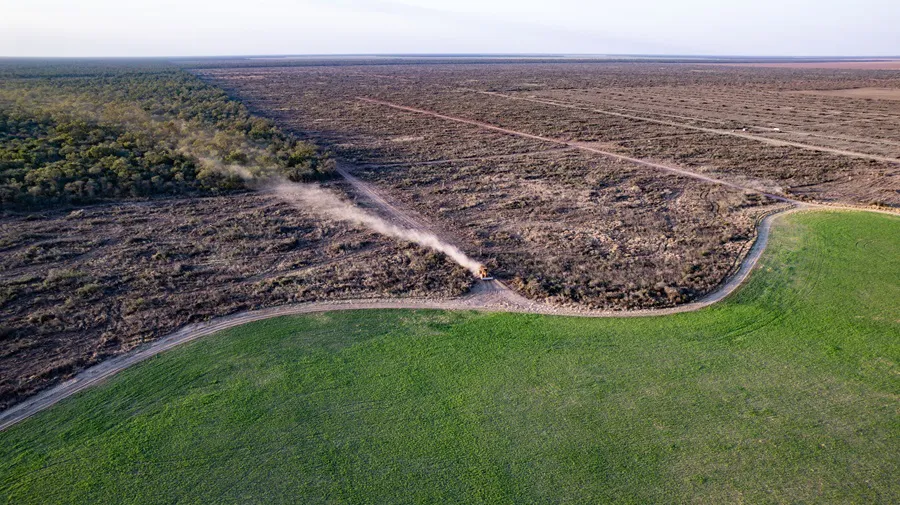 Desmontes-Chaco-19- ©- Martin Katz-Greenpeace-25-08-26-02