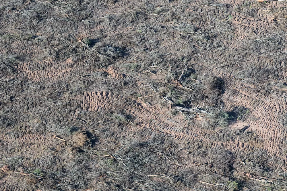 Desmontes-Norte-Argentina-enero-junio-2024-24-07-11-02