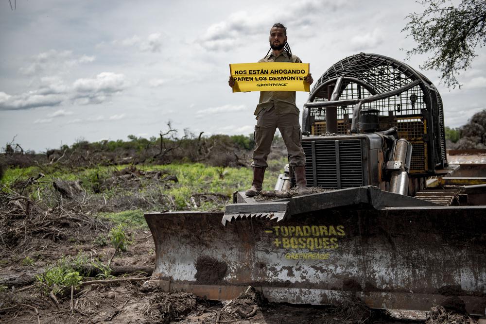 Greenpeace-desmonte-Castelli-19-01-16-14