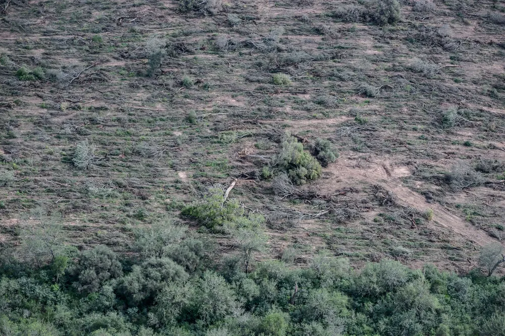 Greenpeace-Desmontes-24-05-30-08