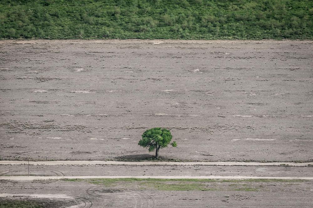 Deforestacion-20-07-08-04