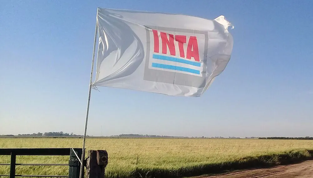 INTA-24-07-10-01