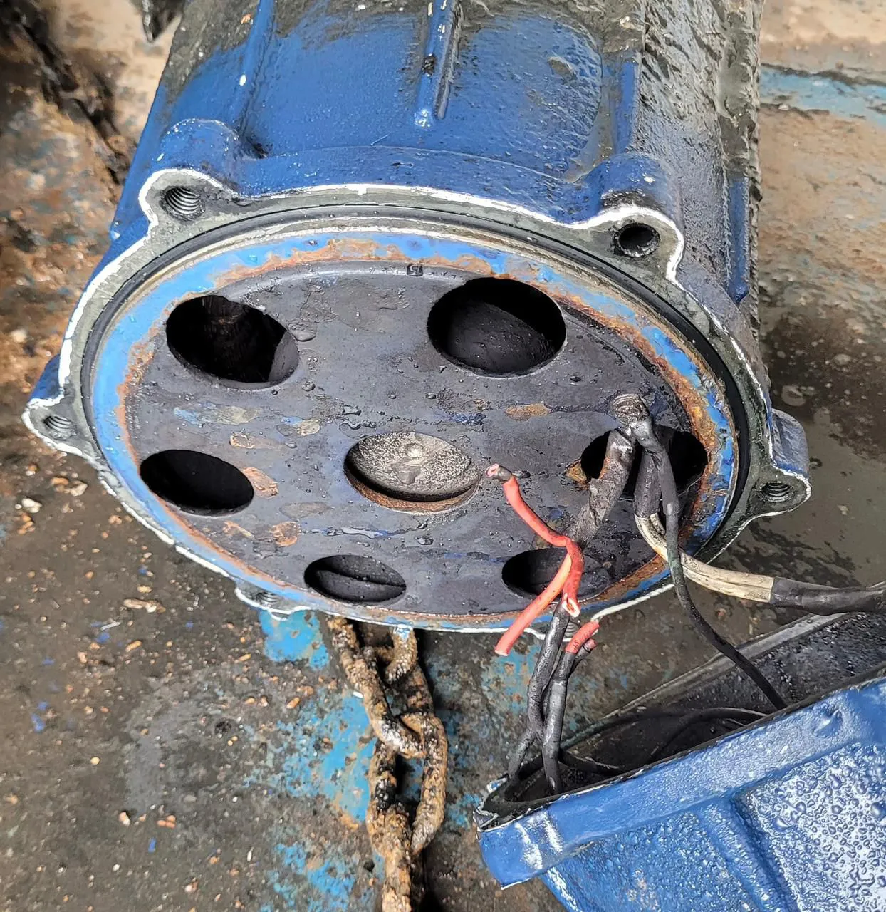 Sebastian-Lazzarini-25-10-06-03