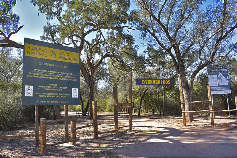Parque-Nacional-Loro-Hablador-01