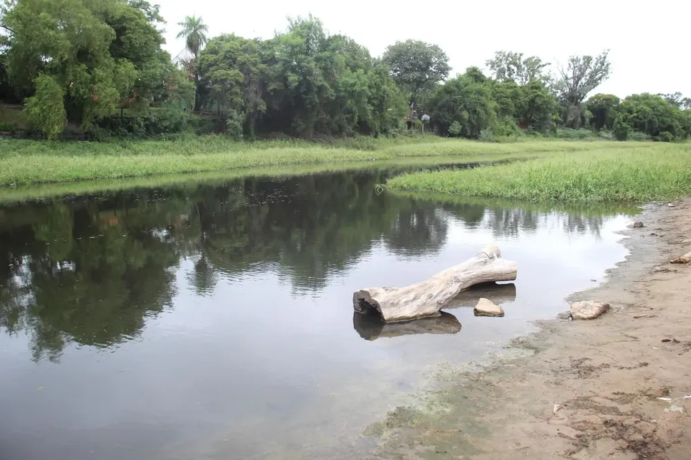 Pescados-podridos-en-el-rio-Negro-25-04-04-03