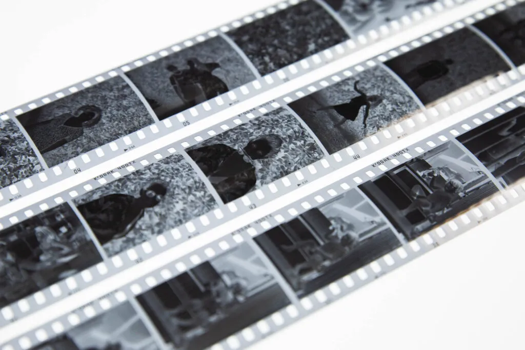 Festival-analógico-25-03-18-01