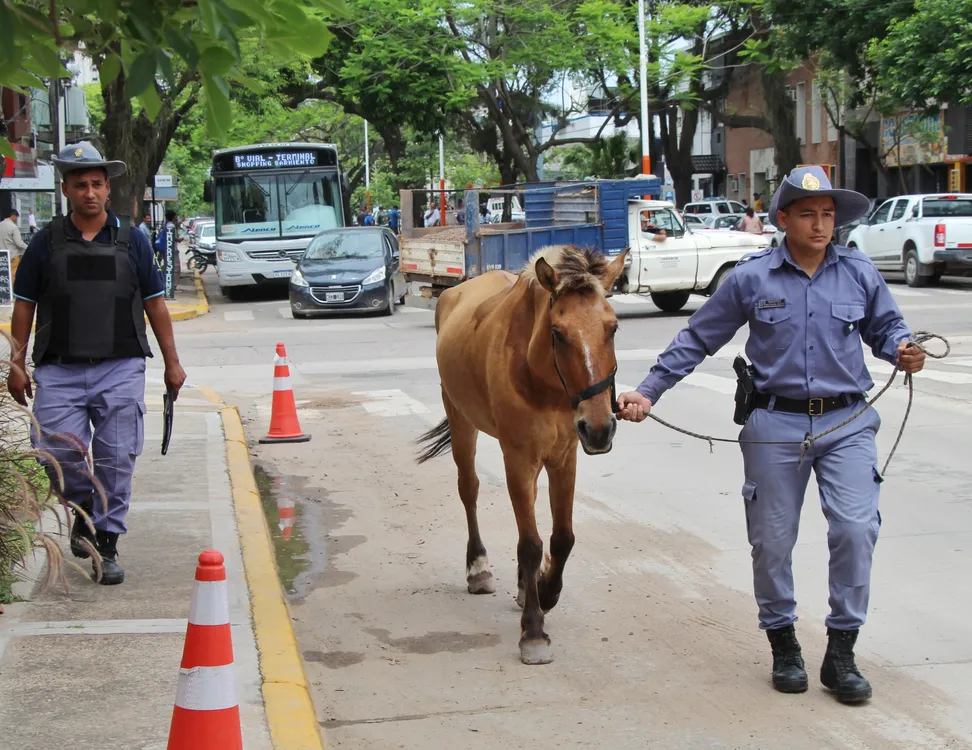 Secuestran-carro-24-11-06-03