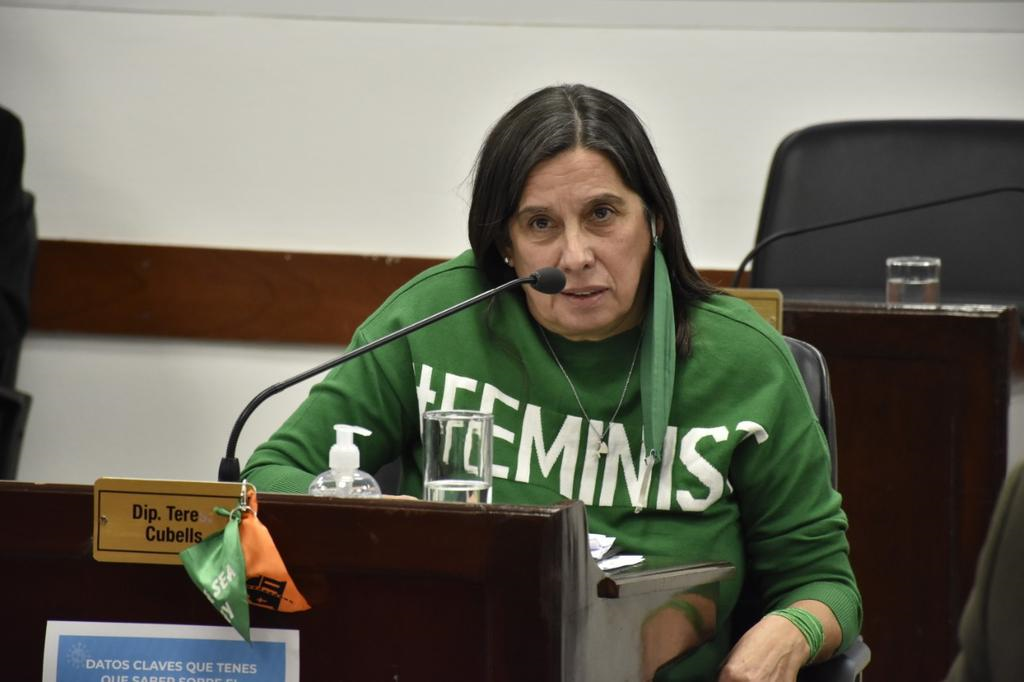 teresa-cubells-diputada-provincial-bloque-frente-grande 2020-09-27