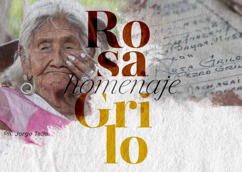 Rosa Grilo