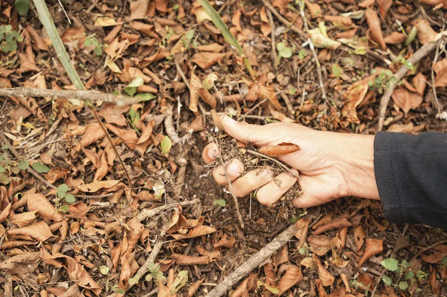 TNC-Gran-Chaco-Argentina-25-10-24-04