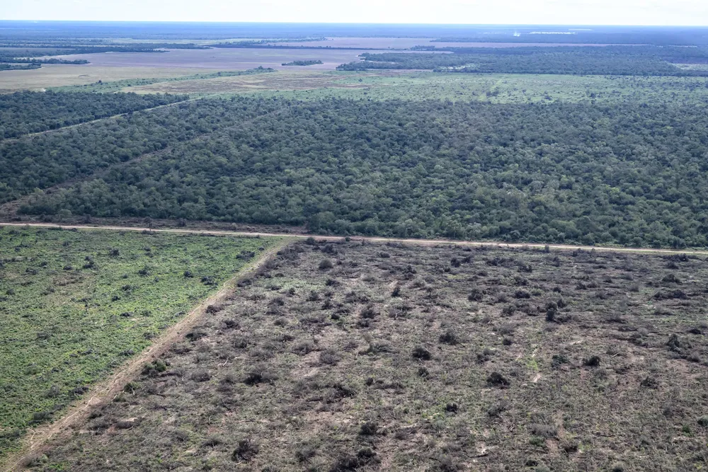 Greenpeace-Desmontes-24-05-30-07