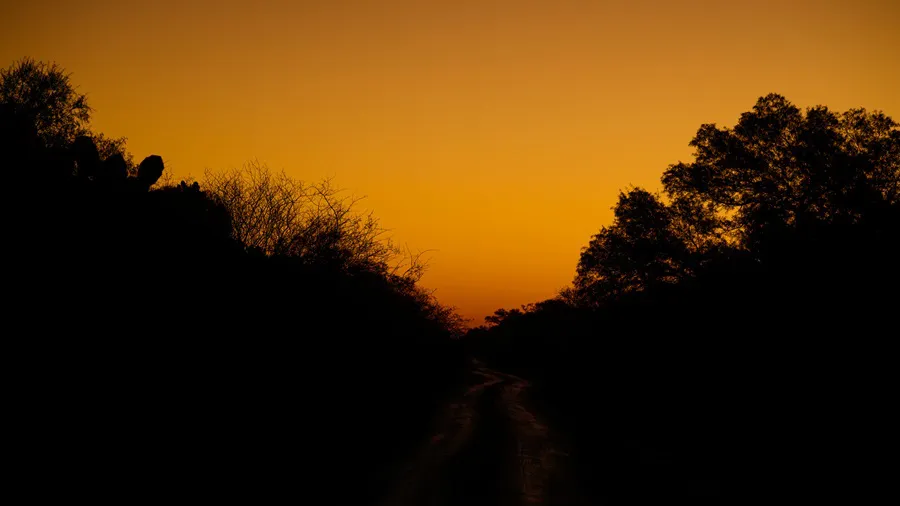 Desmontes-Chaco-19- ©- Martin Katz-Greenpeace-25-08-26-13