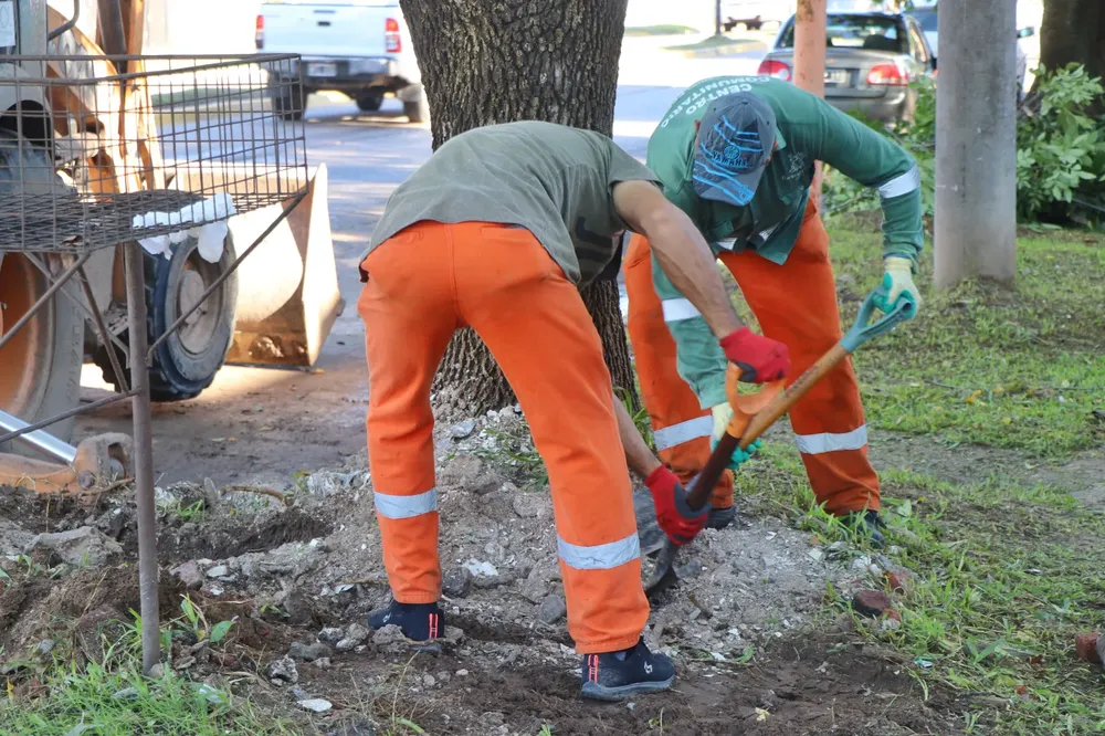 Limpieza-de-avenidas-24-04-26-03
